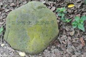 保护绿化 爱护草坪
