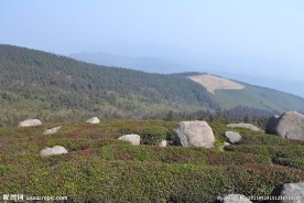福泉山