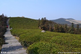 福泉山