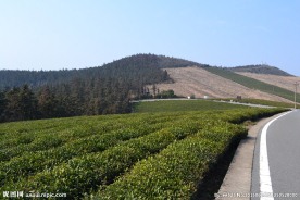 福泉山
