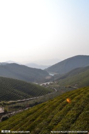 福泉山