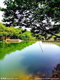 池塘