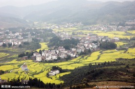 乡村风光