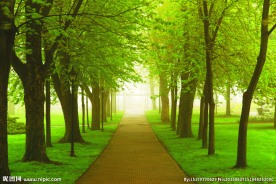 高清自然风景图