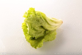 生菜
