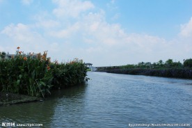 东莞麻涌华阳湖湿地公园