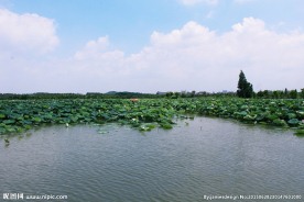 东莞麻涌华阳湖湿地公园