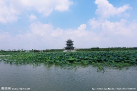 东莞麻涌华阳湖湿地公园