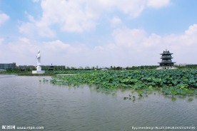 东莞麻涌华阳湖湿地公园