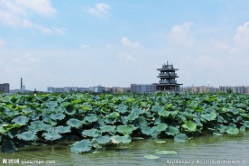 东莞麻涌华阳湖湿地公园