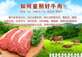 如何鉴别好牛肉