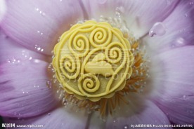 月饼 中秋 中秋节 节庆食品
