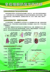 医疗展板 免疫细胞防御图