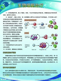 生物细胞治疗 医疗展板