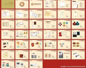 成都双语实验学校vi设计图片