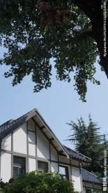大连青云街文化街风景