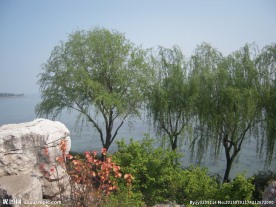 太湖风景