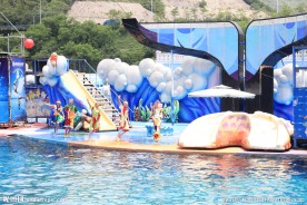 海洋公园小丑表演