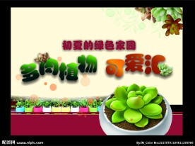 多肉植物海报