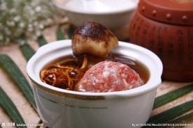 鲜松茸从草花炖瘦肉汁