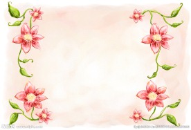 韩国美图花纹底图