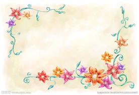 韩国美图花纹底图