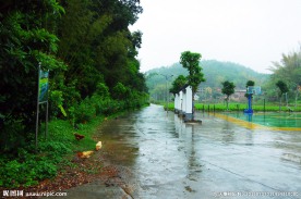 美丽乡村 雨雾蒙蒙