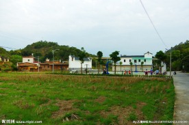 乡村新貌 田园风光