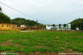 乡村新貌 田园风光
