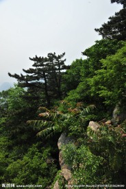 山区风景