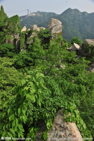 山景 旅游区风景