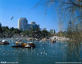昆明 翠湖