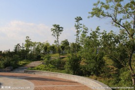 风景