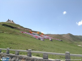 西藏平原草地