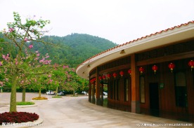 休闲旅游 山花烂漫