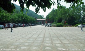 雁南飞