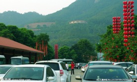 雁南飞