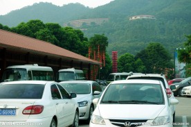 雁南飞