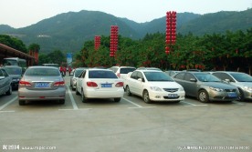 雁南飞