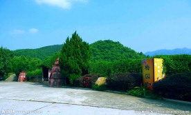 雁鸣湖森林梅园
