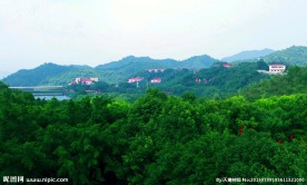 雁鸣湖 彩色森林