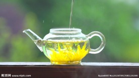 菊花茶高速冲泡
