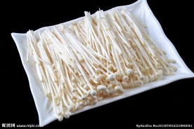 金针菇菌类