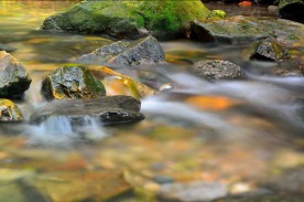 鼎湖山流水