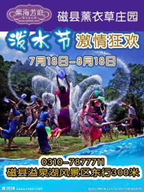 泼水节海报