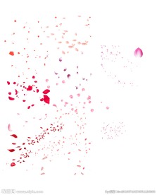 玫瑰花免抠花瓣素材psd