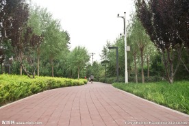 公园小路