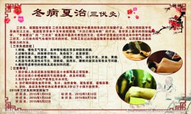 冬病夏治