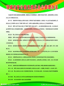 项城市审计局无纸化办公管理办法