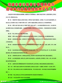 项城市审计局审计管理系统